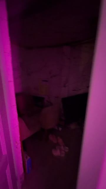 Помещение на Декабристов