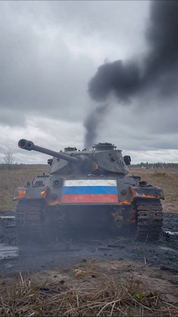 Скрытая тревога: заброшенные надежды на смятение #война #беспокойство #потеря