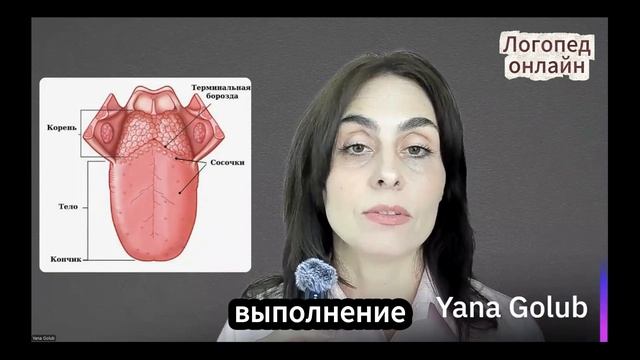 Горловой звук «Р» у взрослых. Часть 3.  Гибкость и сила на кончике языка. Миогимнастика.