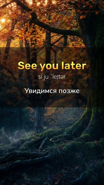 Английские фразы для начинающих #английскийязык