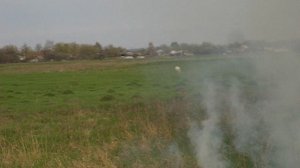 MVI_9018 Природа