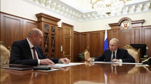 Владимир Путин встреча с губернатором Оренбургской области Евгением Солнцевым, Кремль, 12 марта 2026