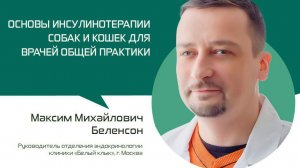 Максим Беленсон — Основы инсулинотерапии собак и кошек для врачей общей практики