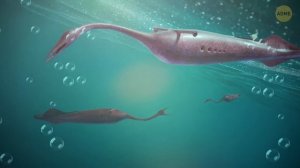 Самое странное существо в истории Земли (мы до сих пор не знаем, что это было)