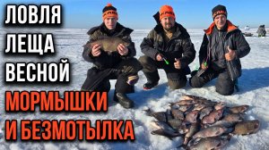 Ловля леща весной, мормышки и безмотылка.