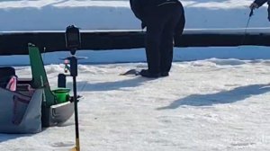 Спортзона.Поимки