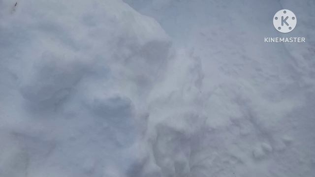 Km_20260313_1080p_30f_20260313_171048.mp4