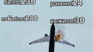 25-ая авиакотострофа