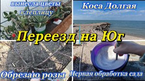 ПЕЧАЛЬНАЯ КАРТИНА, СЪЕЗДИЛИ НА КОСУ, ОБШИЛИ НОВЫЙ ДОМ, ОБРЕЗАЛА РОЗЫ