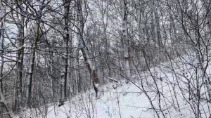 ЕСЛИ БЫ ЗНАЛ ЧТО ТАК БУДЕТ