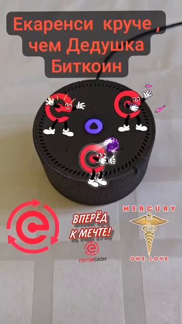 алиса что такое Екар?