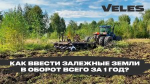 Как ввести залежные земли в оборот всего за 1 год?