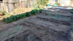 архивное видео ч 2