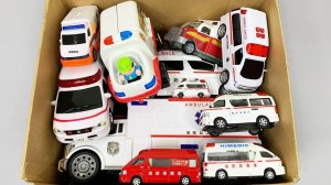 Мультики для детей. Яркие Мультики. Детские мультики для малышей смотреть