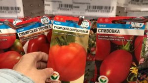 Какие томаты от Сибирского сада советую посадить, обзор сортов для теплицы и открытого грунта