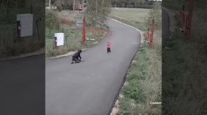 О чем следует поразмыслить?