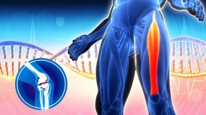 Лечение Хронического Артрита, Восстановление Всех Нервных Окончаний Тела Мелатонин - МАССАЖ