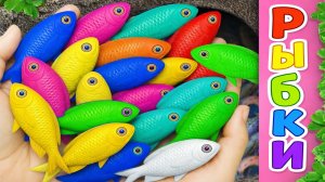 Мультики для детей про водных обитателей. Ловим и рассматриваем рыбок. Мультики для малышей