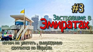 Застрявшие в Эмиратах #3 / вынуждены скитаться по Шардже / улететь не можем