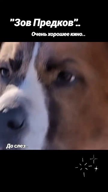 Зов предков.. очень классный фильм ( кто не видел - советую)