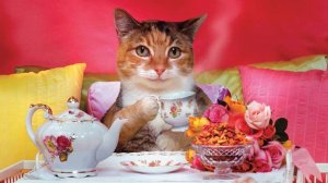 Стрим 🔴 Руся И Пипонька IN The USA - Пипоньке Снова 54 Годика!!!!!!!)