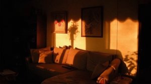 раннее утро, когда освещение выглядит вот так. [lofi]