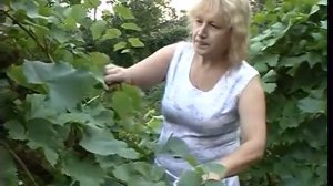 Николай Столяров Тухмастӑн эс  ман асӑмран (муз. Юрия Жукова, сл. Юхма Мишши)