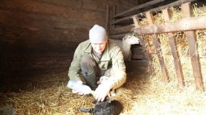 УЙТИ В НИКУДА . КАК ЖИВЕТ БЕЛОРУССКИЙ ОТШЕЛЬНИК , ОДИН В ЛЕСУ. №381