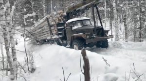 Грузовик УРАЛ лесовоз застрял, трелёвочник пытается вытащить.