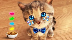 Развивающие игры для детей «Маленький котенок: приключения»