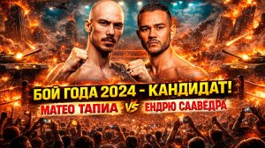 БОЙ ГОДА 2024? Обзор боя Сезар Матео Тапия - Эндрю Сааведра
