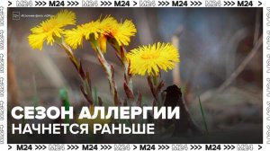 Сезон аллергии в Москве может начаться раньше обычного - Москва 24