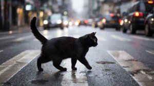 Пятница, 13-е. Такое утро