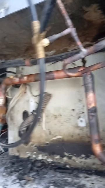 Ремонт рефконтейнера Фриз-Холод