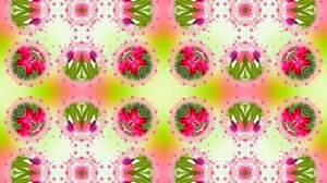 Весна! Очаровательные тюльпаны 14! Киностудия Мудрого Кота Тимофея!