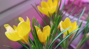 Первый дождь. Работаю под заказ. Дети