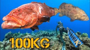 Общий вес более 100 кг! Мы собрали только элитные сорта рыбы