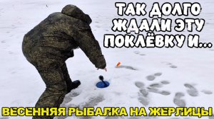 Так долго ждали эту поклёвку и... Весенняя рыбалка на жерлицы.