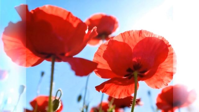 С ДНЁМ РОЖДЕНЬЯ БАБУШКА РОДНАЯ