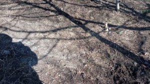 Сварила борщ! Что посадила вчера! Юг России🌴