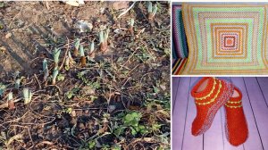 13 марта. Весна. Вышла в огород... Мои продвижения по вязанию