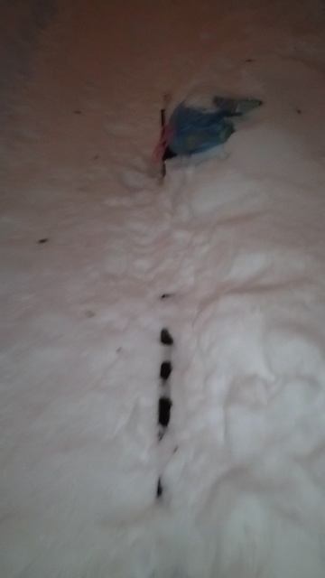 №1678 Двор П. Осипенко 48. 12 марта 2026 г., 20:56:03 VID_20260312_205543291