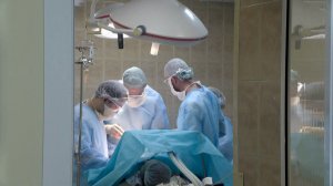 Забота о людях – защита планеты: во всём мире отмечают День почки