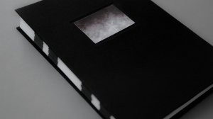 Inna Shilovskaya "*snow"