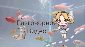 _☺Разговорное видео ✨_