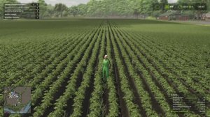 Farming Simulator 25 - скоро урожай картофеля