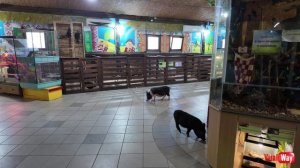 Мой дебют для фотостоков