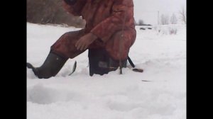 Мир не без добрых людей