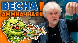 Аквариумные истории из ЭКЗОМЕНЮ (13.03.2026). Весна аммиачная!