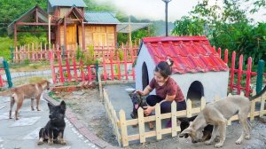 Строю красивый кирпичный домик для своей собаки. Серия 29. Хуан Ли